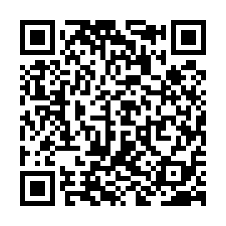 QR code for ZLU519