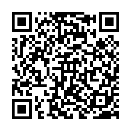 QR code for ZLV051