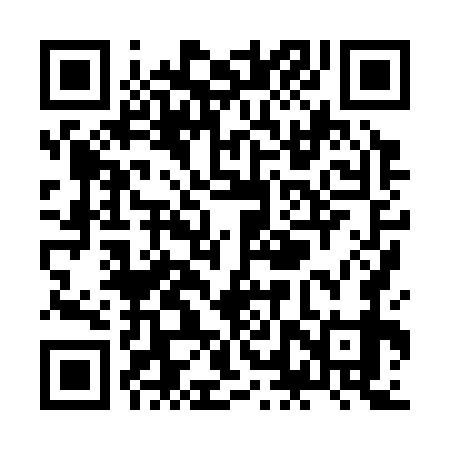 QR code for ZLX379