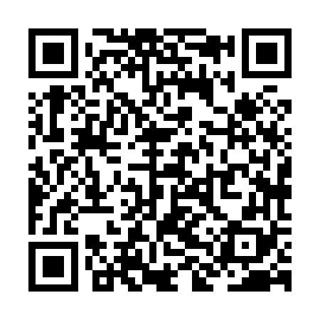 QR code for ZLX868