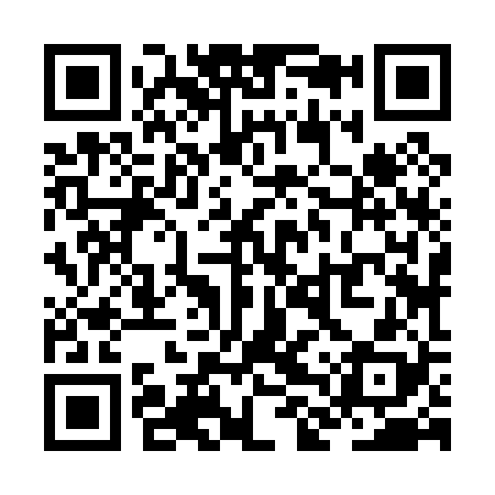 QR code for ZLZ028