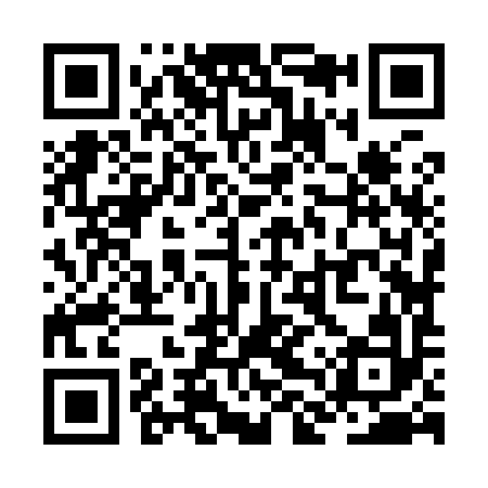 QR code for ZLZ992