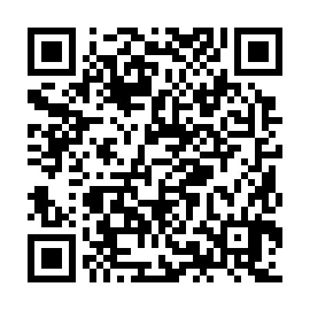 QR code for ZMA384