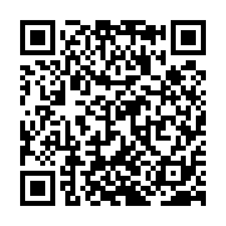QR code for ZMG511