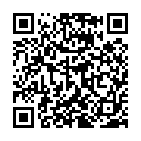 QR code for ZMG513