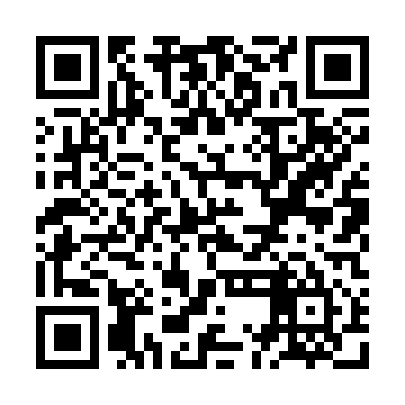 QR code for ZML315