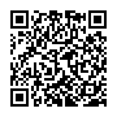 QR code for ZMM731