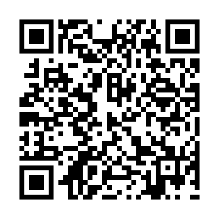 QR code for ZMN271