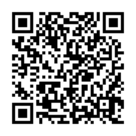QR code for ZMN966