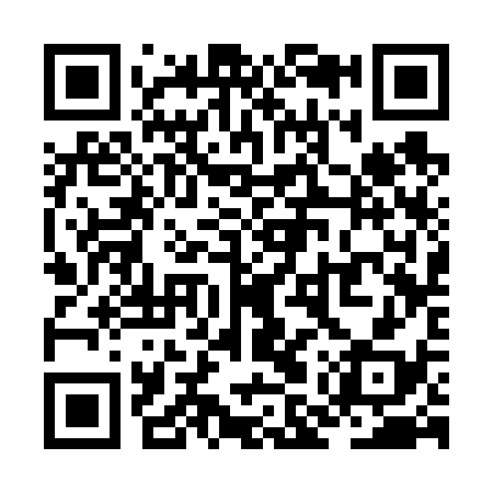 QR code for ZMS638