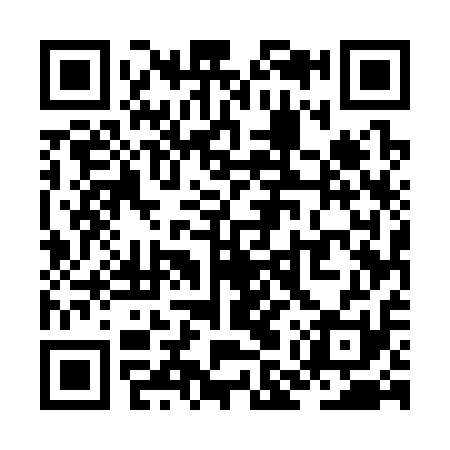 QR code for ZMU311