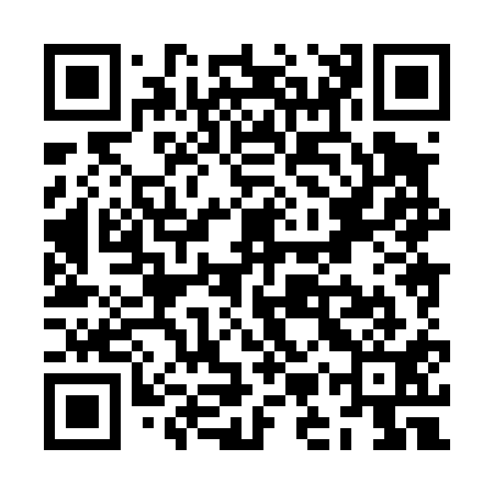 QR code for ZMX411