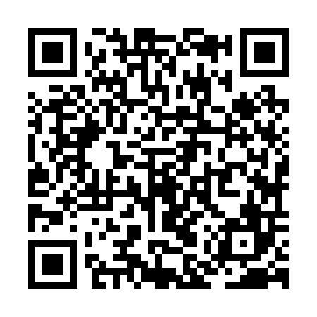 QR code for ZMZ206