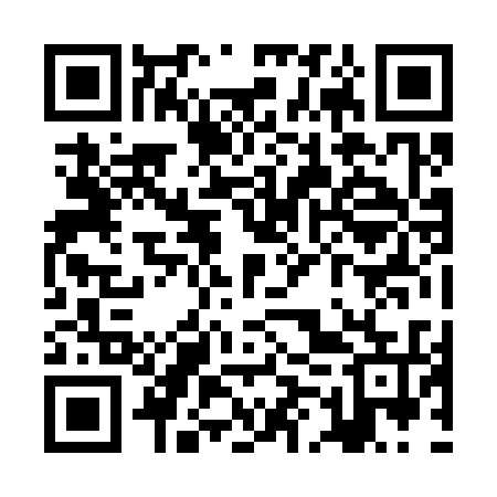QR code for ZMZ335