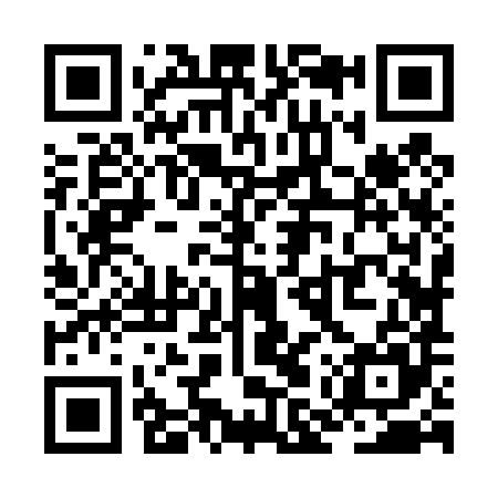 QR code for ZMZ485