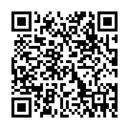 QR code for ZNI384