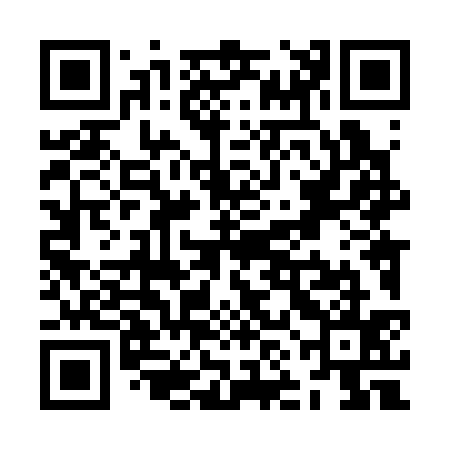 QR code for ZNL335