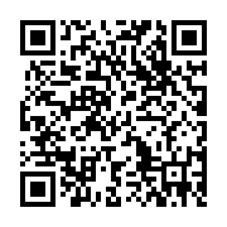 QR code for ZNN816