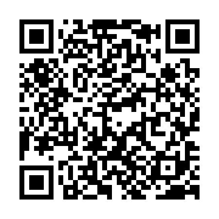 QR code for ZNO391