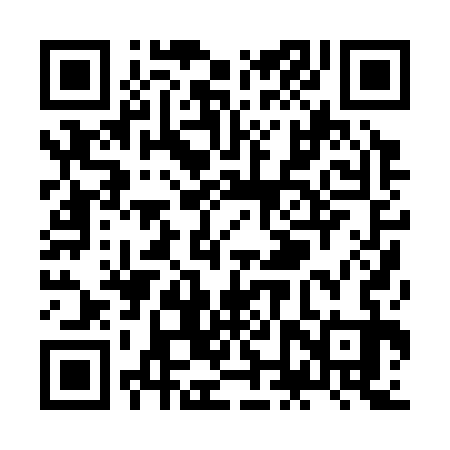 QR code for ZNP333