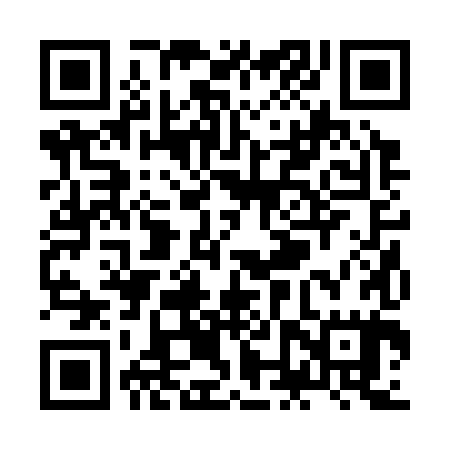 QR code for ZNR385