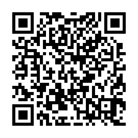 QR code for ZNS203
