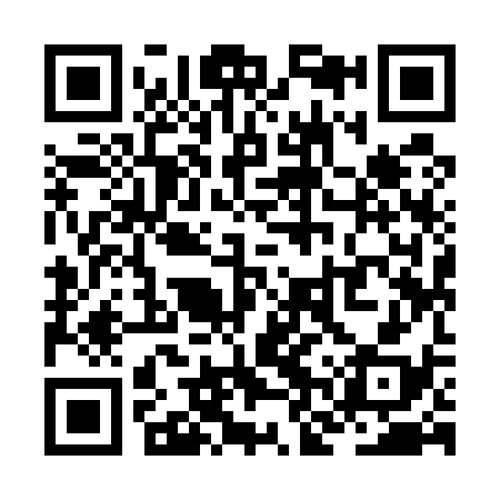 QR code for ZNY538