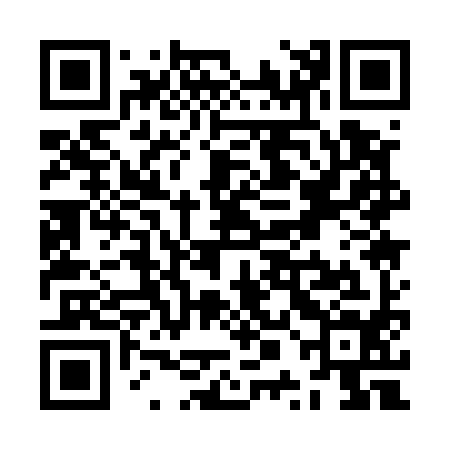QR code for ZPA594
