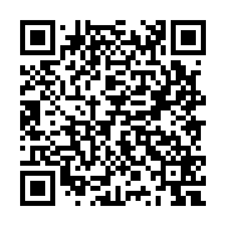 QR code for ZPH169