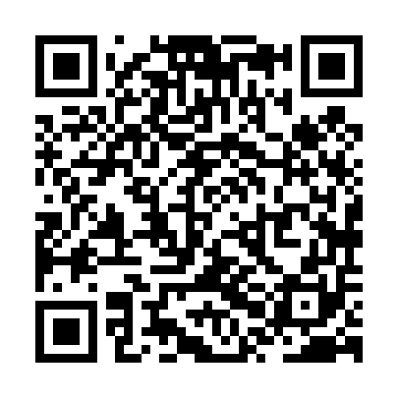 QR code for ZPH450