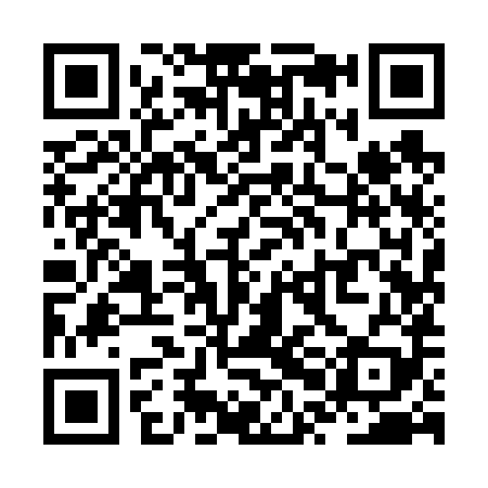 QR code for ZPI689