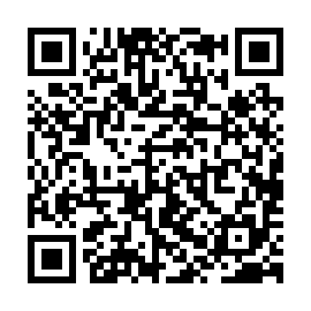 QR code for ZPP295