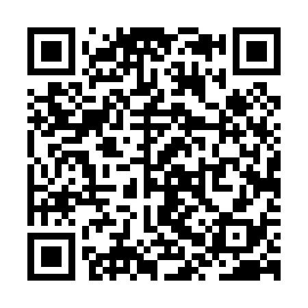 QR code for ZPT038