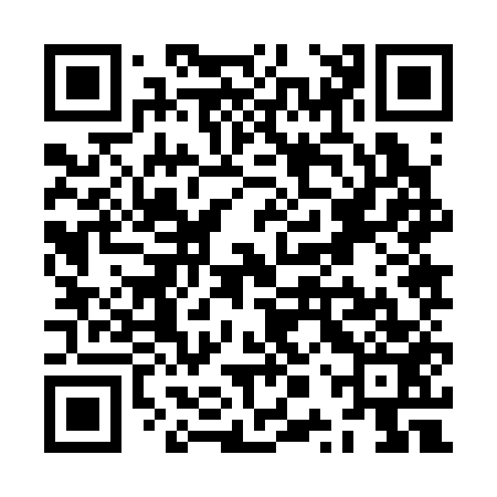 QR code for ZPZ353