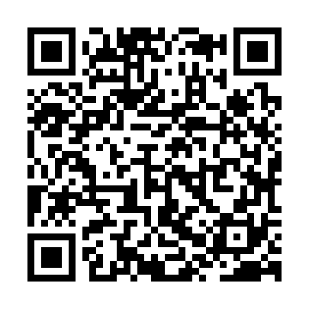 QR code for ZPZ370