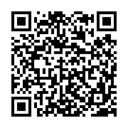 QR code for ZPZ616
