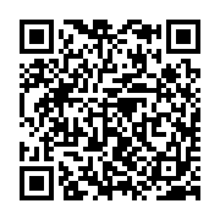 QR code for ZQB313