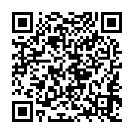 QR code for ZQL953