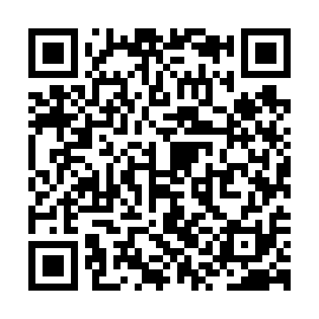 QR code for ZQM611