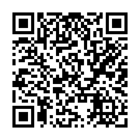 QR code for ZQY394