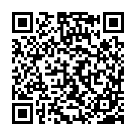 QR code for ZQZ307