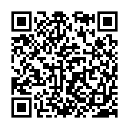 QR code for ZRI313