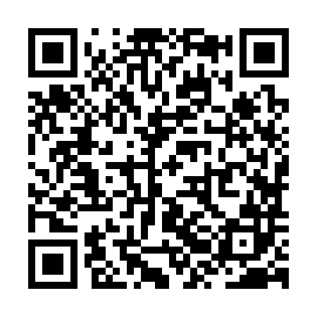 QR code for ZRJ382