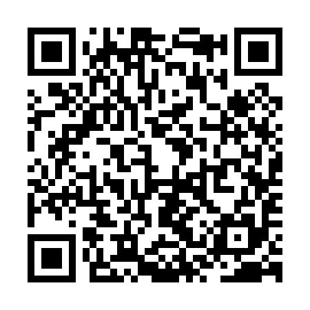 QR code for ZSS095