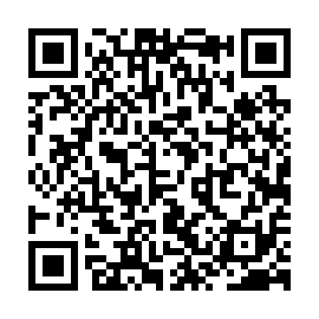 QR code for ZST211