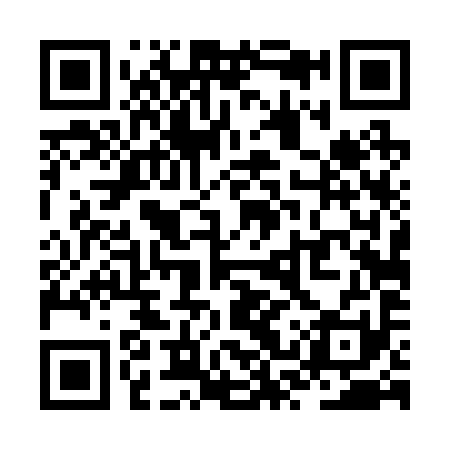QR code for ZST291