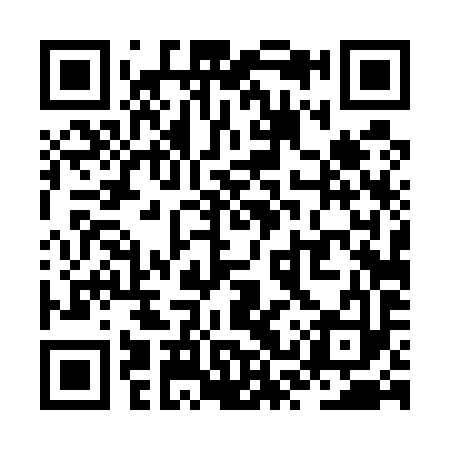 QR code for ZST593