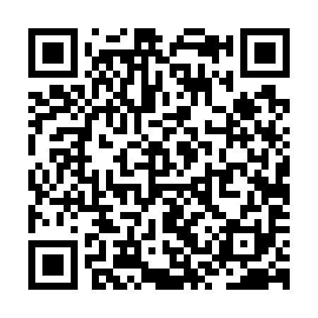 QR code for ZST791