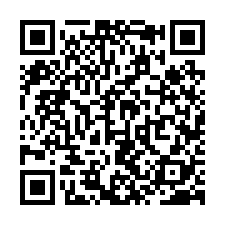 QR code for ZSV228
