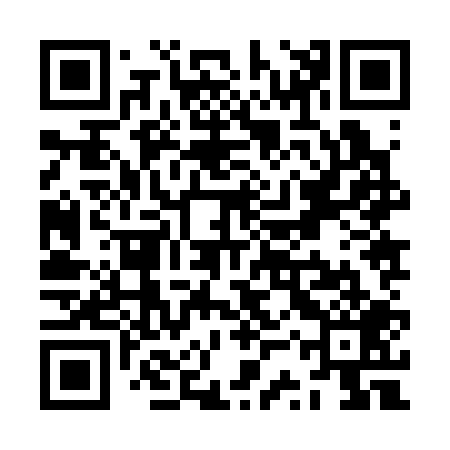 QR code for ZSZ309